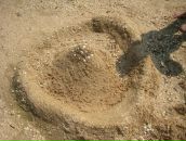 Нютік Мінутік фотография #1