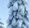 Соломія Турчиняк фотография #19 (источник - https://vk.com/id167653845)