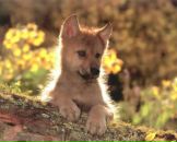 Фотография Ивановой Елены