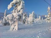 Анна Бу фотография #29 (источник - https://vk.com/id137102)