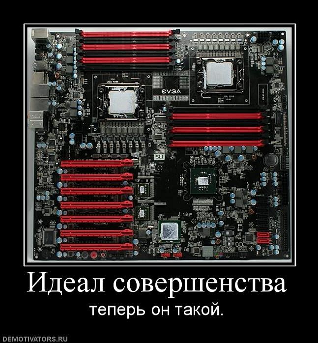 Илья Стафеев фотография #34
