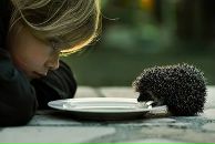 Юра Маргітич фотография #21 (источник - https://vk.com/id40518157)