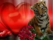 Фотография Штейнгарта Владислава