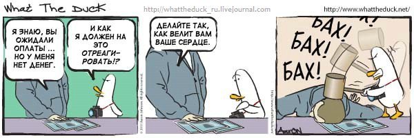 №12, Дмитрий Павлычев, 54 года, Хайфа №12, Дмитрий Павлычев, 54 года, Хайфа