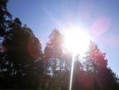 Фотография Михайловны Надежды