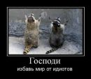Катеринка Поліщук фотография #4 (источник - https://vk.com/id169542616)