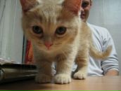 Фотография Фурдик Татьяны