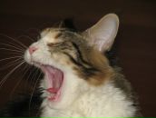 Фотография Danilova Maria