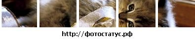 Діана Єрмакова фотография #7 (источник - https://vk.com/id125114103)