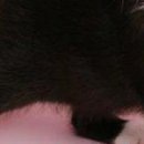 Олександра Сузінович фотография #19 (источник - https://vk.com/id67921577)