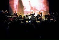 Alisa Chikipa фотография #41 (источник - https://vk.com/id5328290)