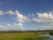 Наталія Шевчук фотография #35 (источник - https://vk.com/id15973470)