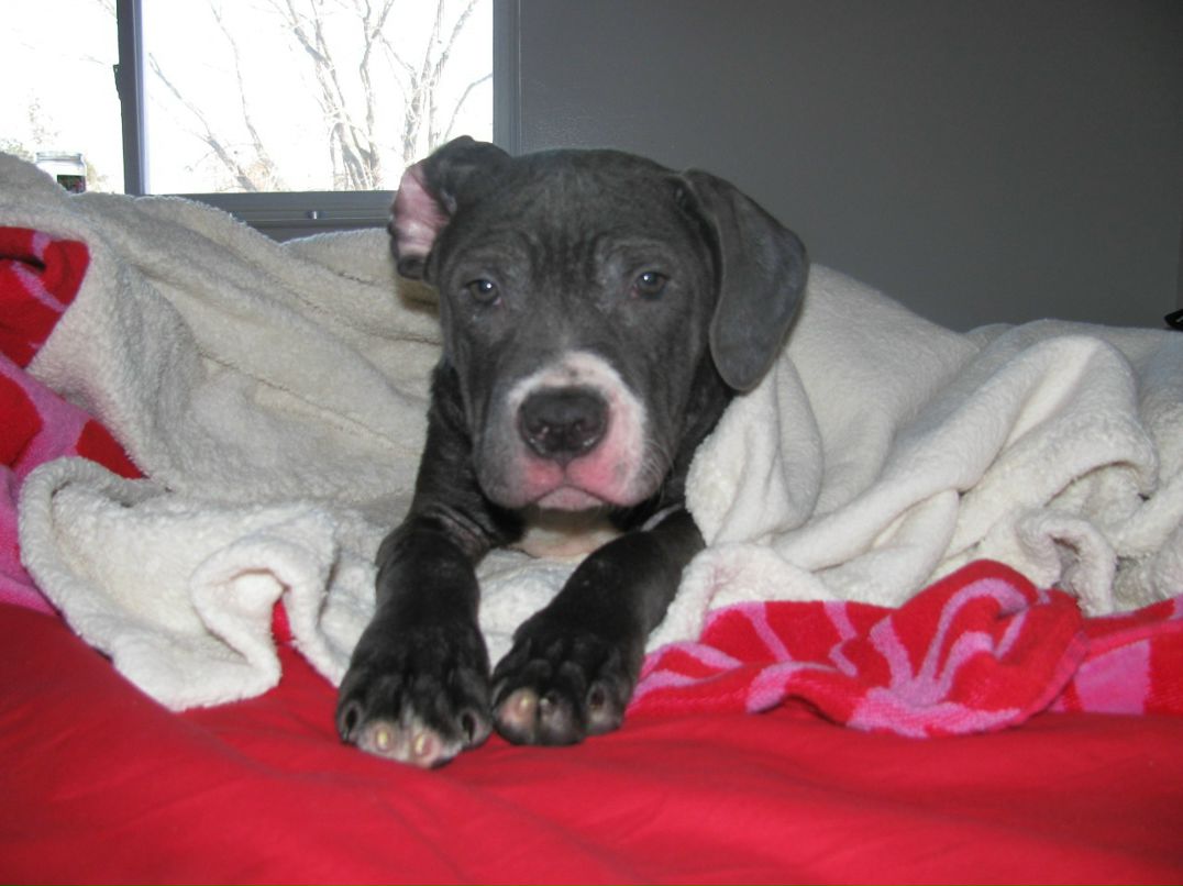 Aida Desiderio фотография #38