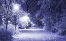 Юлія Фiль фотография #11 (источник - https://vk.com/id157555441)