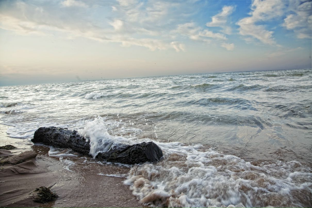 Иван Рогачев фотография #24