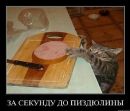 Ильич Leech фотография #22 (источник - https://vk.com/id24254693)