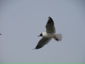 Фотография Макеева Дмитрия