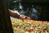 Фотография Колесник Иры