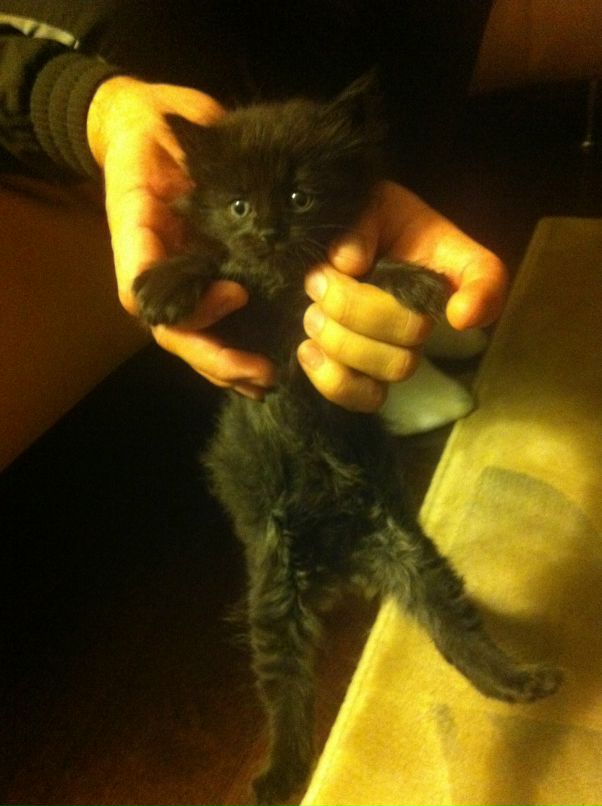 Катя Халимова фотография #24