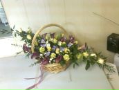 Фотография Петровой Светланы