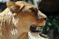 Фотография Андреевой Антонины