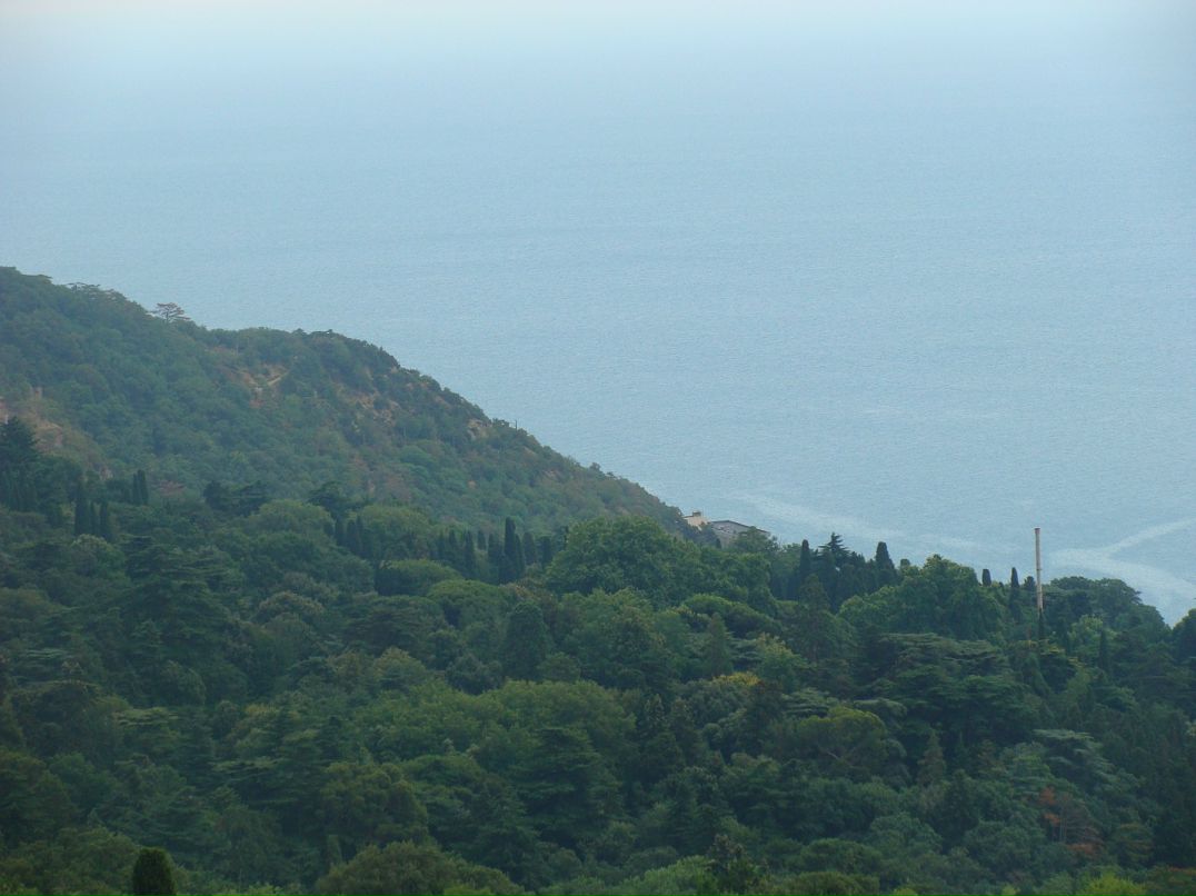 Александр Зиненко фотография #29