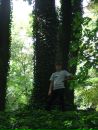 Марія Шкурлатович-Вербовська фотография #27 (источник - https://vk.com/id148514875)