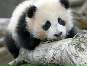 Діма Прокопчук фотография #15 (источник - https://vk.com/id147006226)