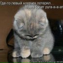 Ангеліна Язикова фотография #22 (источник - https://vk.com/id162355809)