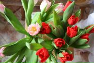 Фотография Korotetskaya Irina