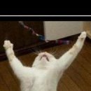 Вітя Бурмей фотография #11 (источник - https://vk.com/id143562390)