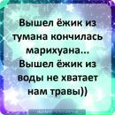 Вітя Бурмей фотография #1