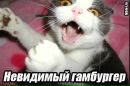 Фотография Ким Алина
