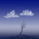 Фотография Серобабы Евгения