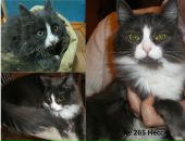 Фотография Лыковой Юлии