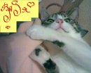 Васька Драпаченко фотография #22 (источник - https://vk.com/id8193180)