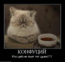 _HeLl KiLl_eM_aLl фотография #35 (источник - https://vk.com/id59388431)