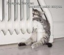 Сергій Волянський фотография #38 (источник - https://vk.com/id15282556)