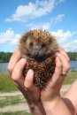 Фотография Петрова Вадима