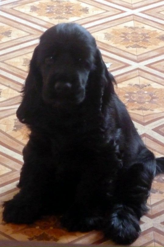 Наталья Попова фотография #19