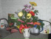 Фотография Спиридоновой Надежды