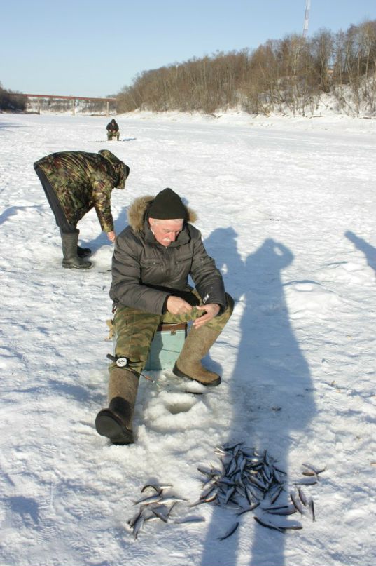 Дмитрий Панов фотография #37