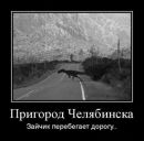 Олег Філовець фотография #29 (источник - https://vk.com/id134807902)