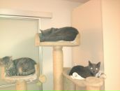 Ольга Воєдчук фотография #43 (источник - https://vk.com/id13352152)