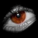 Fernando Chiara фотография #7 (источник - https://vk.com/id141926302)