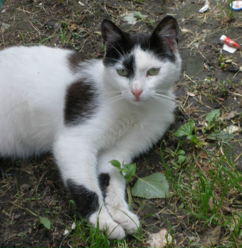 Игорь Марценюк фотография #1