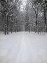 Олена Віцька фотография #10 (источник - https://vk.com/id163091324)