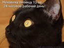 Коля Стрільченко фотография #31 (источник - https://vk.com/id160910495)