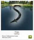 Ігор Пеля фотография #31 (источник - https://vk.com/id165591777)