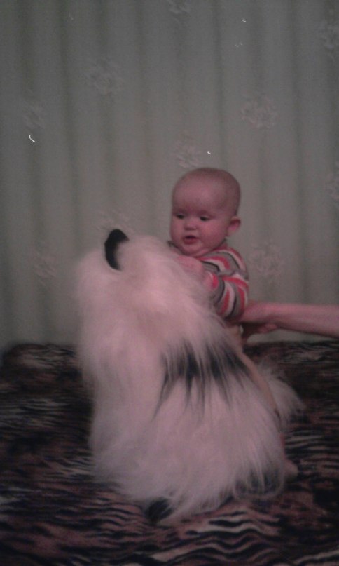 Виктория Кошеленко фотография #14